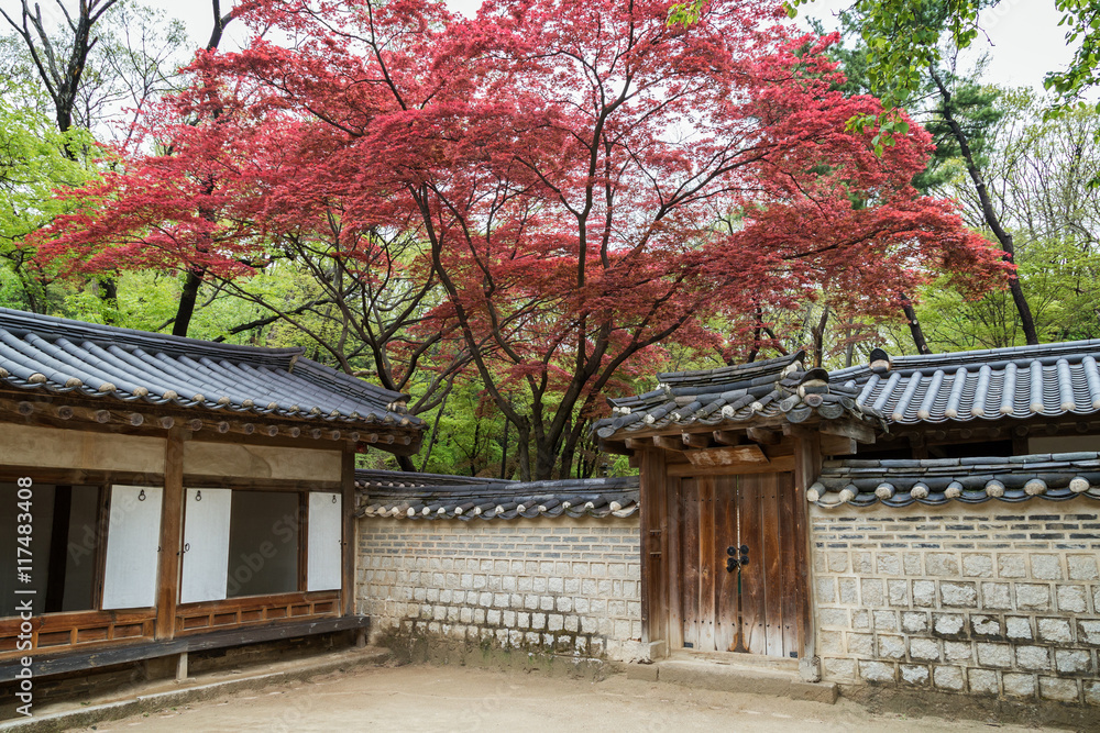 Red and green leaves on trees above buildings and stone wall at the Changdeokgung Palace in Seoul, South Korea. Red and green leaves on trees above buildings and stone wall at the Changdeokgung Palace in Seoul, South Korea.