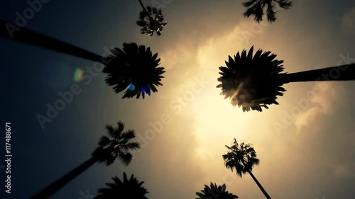 Palm Drive California