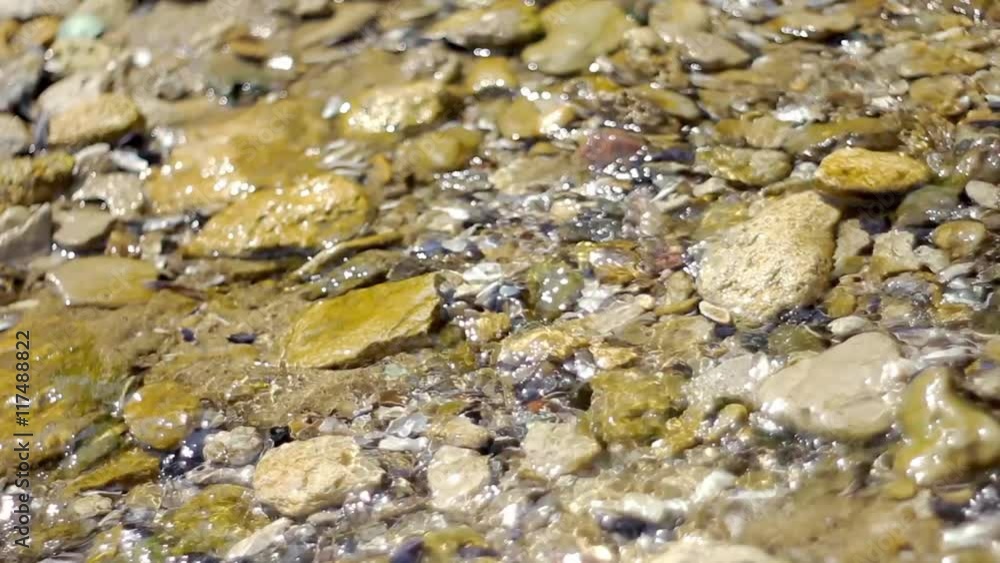 The Creek flows through small stones The Creek flows through small stones