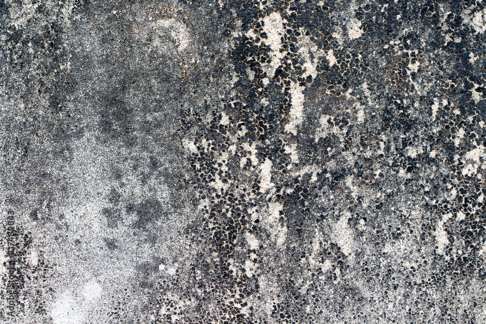 Obraz premium wood texture. background old panels