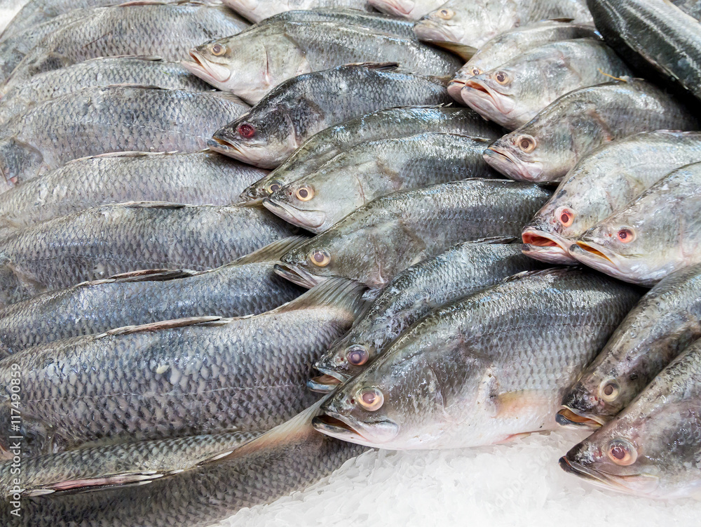 Fresh fish on ice Fresh fish on ice