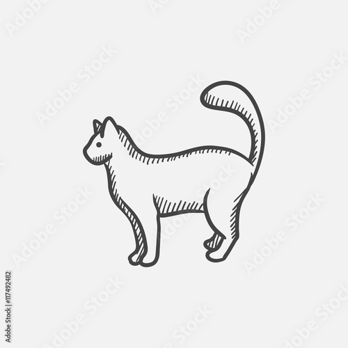 Cat sketch icon. © Visual Generation