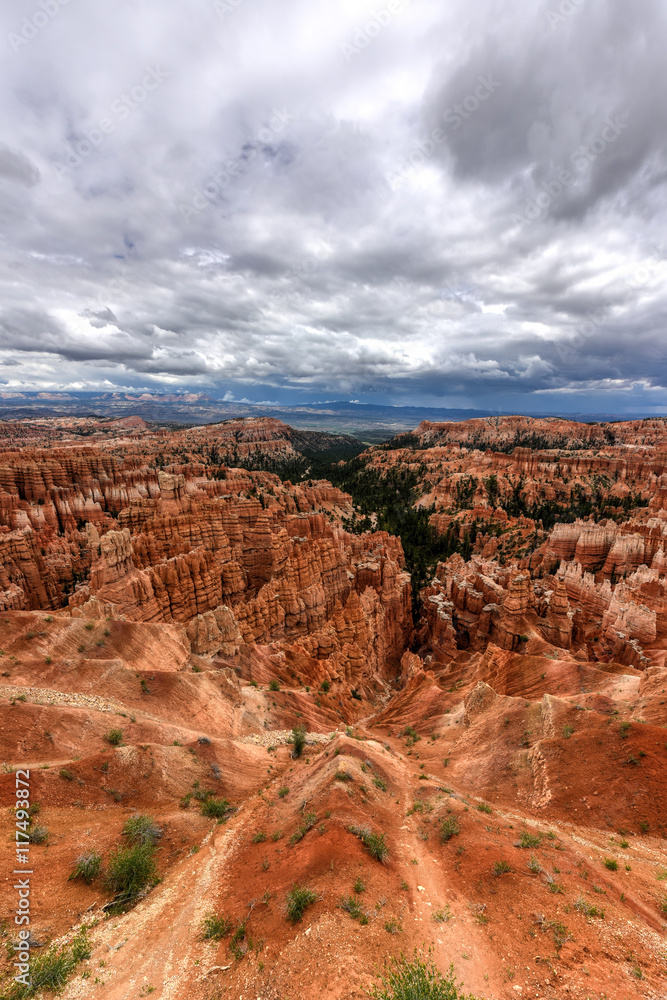 Fototapeta premium Bryce Canyon National Park