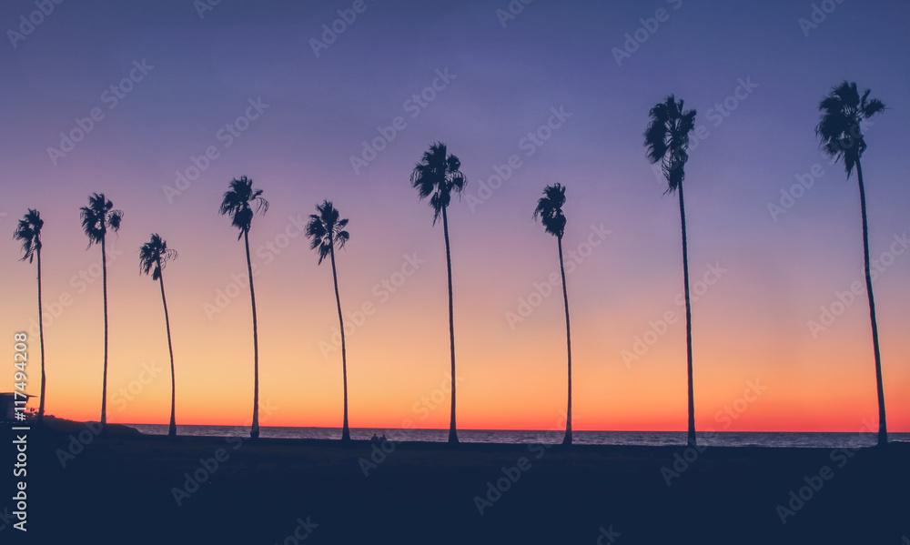 Fototapeta premium Vintage California Beach Photo - Row of palm trees silhouettes during a colorful sunset at the beach in California 