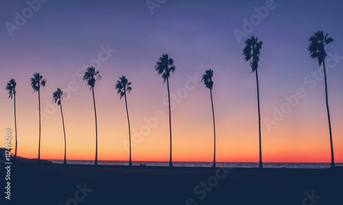 Vintage California Beach Photo - Row of palm trees silhouettes during a colorful sunset at the beach in California  © dcorneli