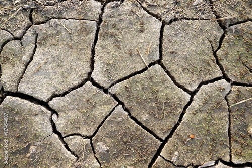 cracked dry land texture closeup background, global warming and climate change concept 