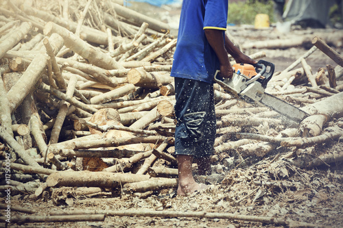 Man chopping wood using a chainsaw. Cut a piece of wood as fuel.