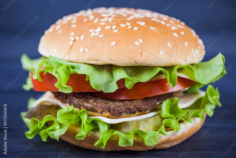 street food delicious cheeseburger with tomato and salad closeup