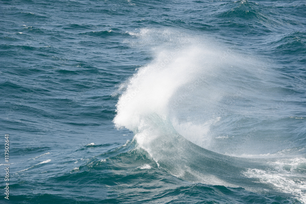 Naklejka premium waves in the ocean