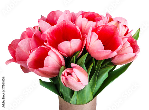 red tulips bouquet of flowers isolated on white background