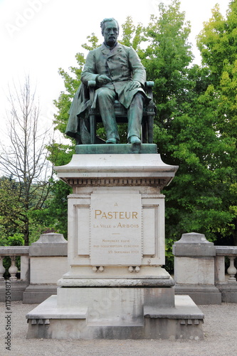 Tableau sur toile Statue de Louis Pasteur