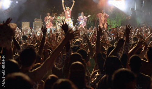 Принти на полотні a large crowd of people at a concert