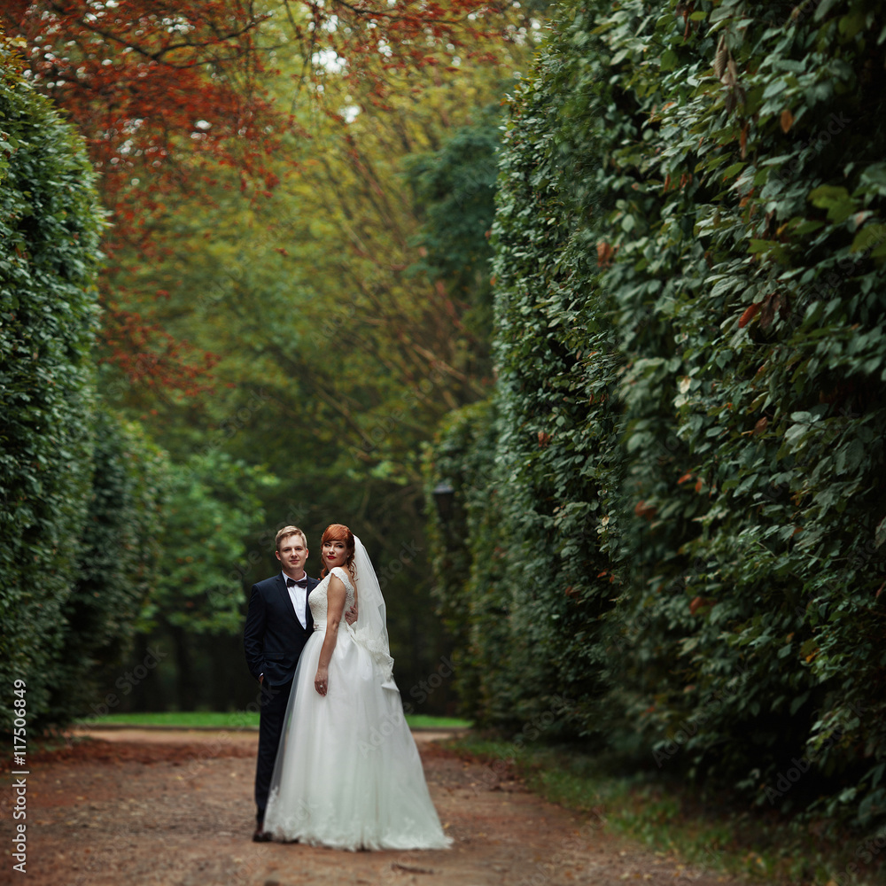 The lovely couple in love stand in the park The lovely couple in love stand in the park