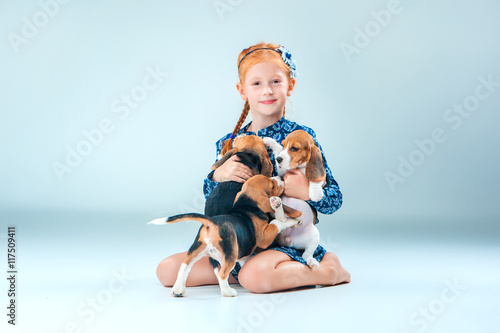 The happy girl and two beagle puppie on gray background