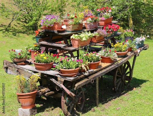 wagon festooned with many pots of flowers in the meadow