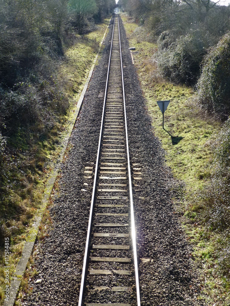 Obraz premium Straight railway line and bright green grass illuminated by low winter sunshine