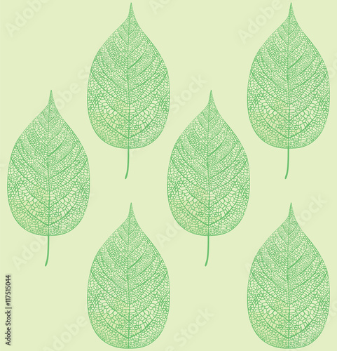 Blatt Muster