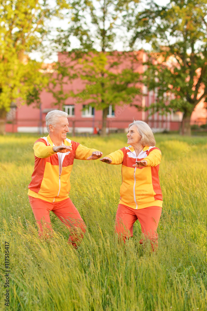 Fototapeta premium fit senior couple exercising