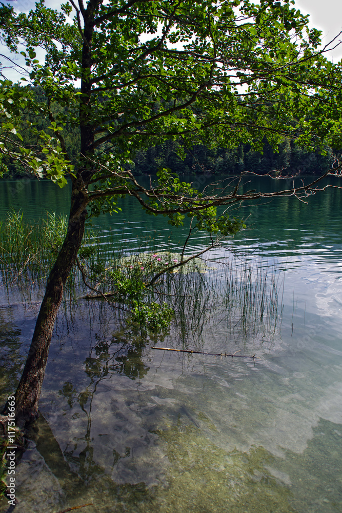 Obraz premium Klarer Bergsee
