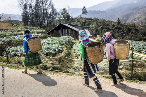 Tribal women on the road photo