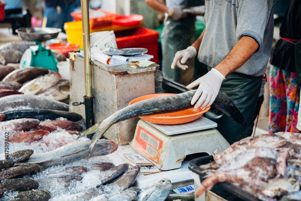 Man weighs fish on the scales Man weighs fish on the scales