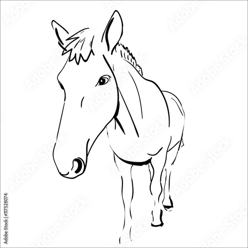 лошадь horse stables