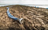 Dry land - drought - and hose for watering