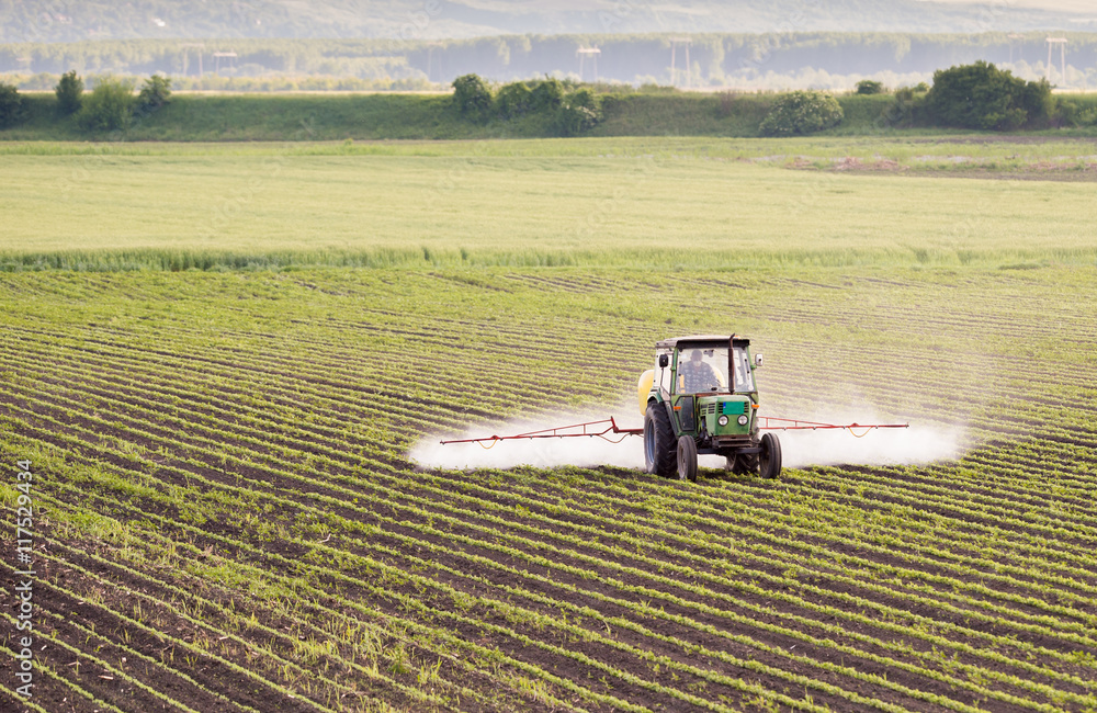 Obraz premium Tractor spraying soybean field
