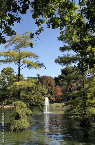 Pond in the Retiro Park  Madrid