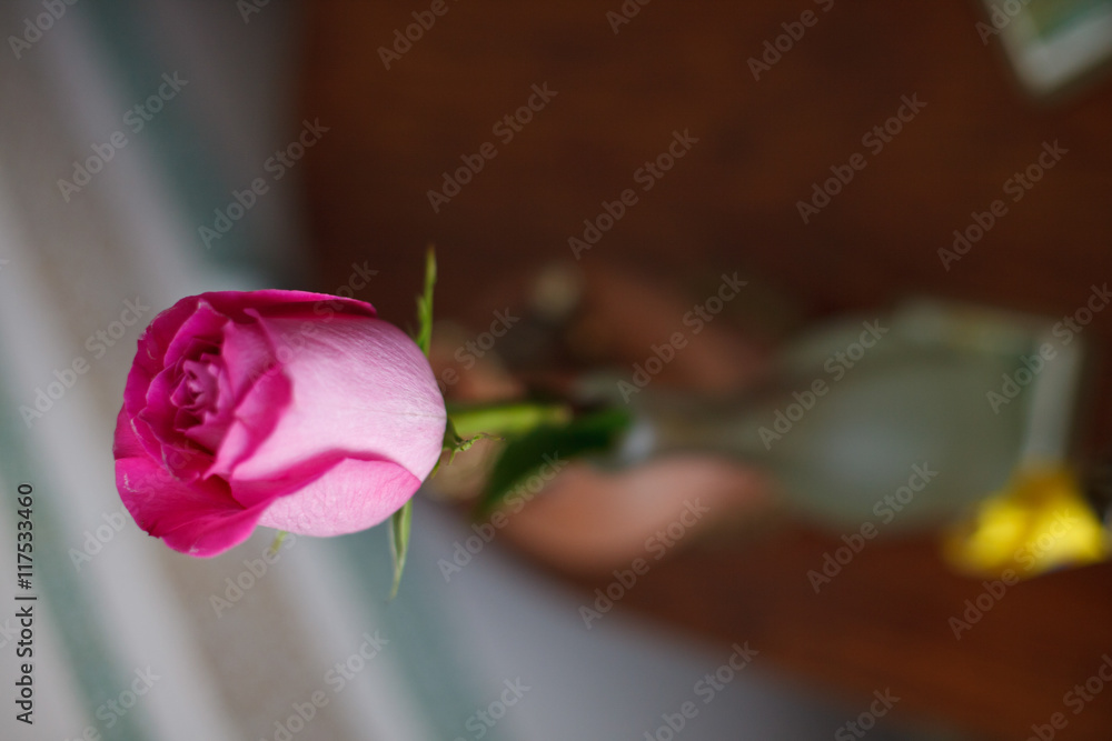 Fototapeta premium A closeup of rose bud standing in a vase on the wooden table