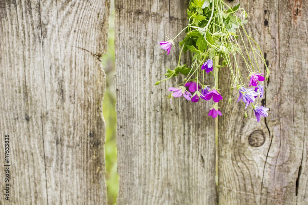 beautiful bouquet of of wildflowers suspended on an old wooden fence in a village