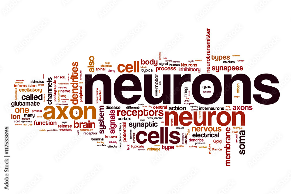 Neurons word cloud concept Neurons word cloud concept