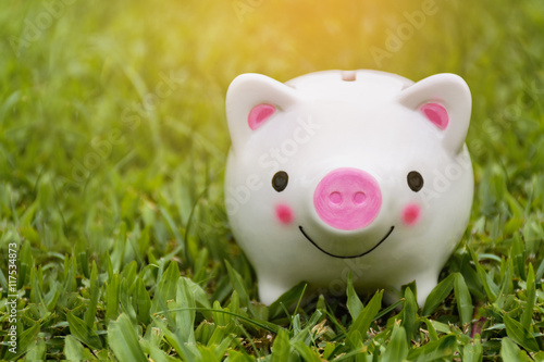 Piggy Bank is very happy with blurry focus money on grass in nature . Happiness with Saving Money Concept. copy space for your text. Shallow depth of field.