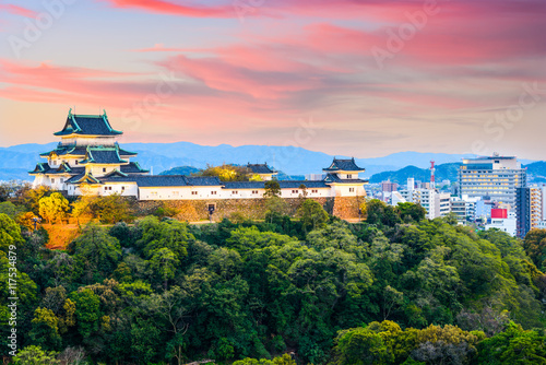 Photography Wakayama, Japan skyline at the castle.