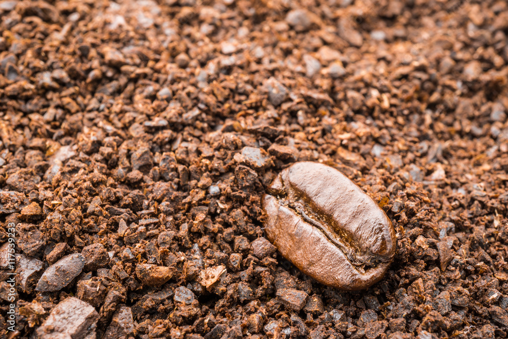 macro coffee bean texture background with powder macro coffee bean texture background with powder