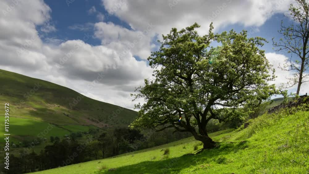 countryside scenery in wales summer's afternoon countryside scenery in wales summer's afternoon