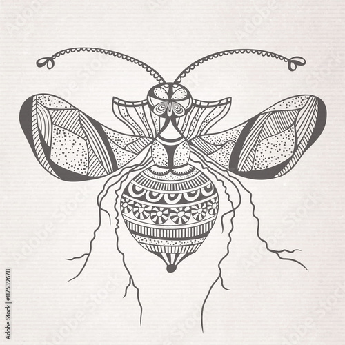 Vector decorative insect butterfly