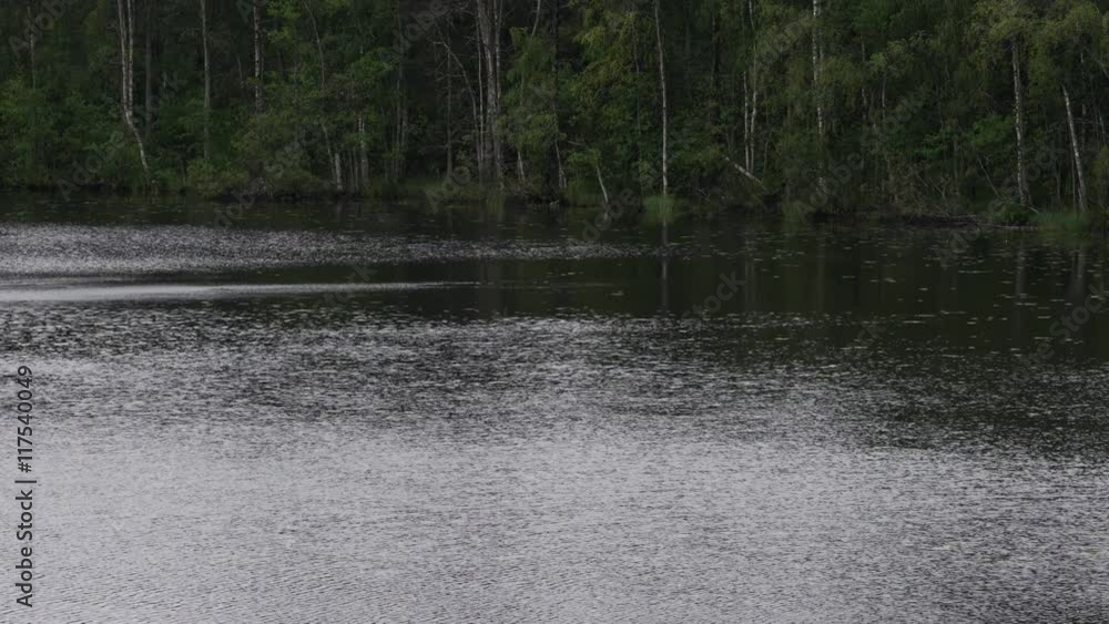 weak rain falling on lake water surface weak rain falling on lake water surface