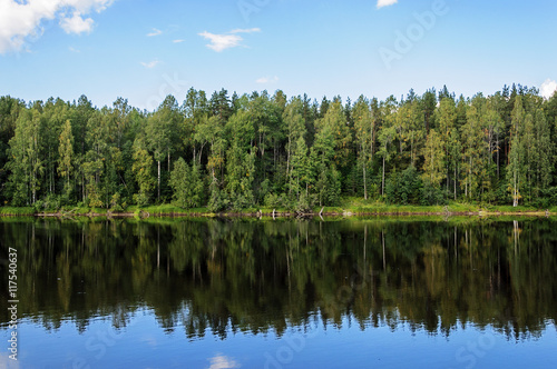 Shuya River in Karelia, summer