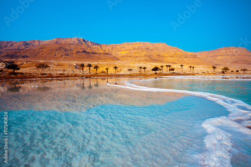 Dead Sea seashore with palm trees and mountains on background photo