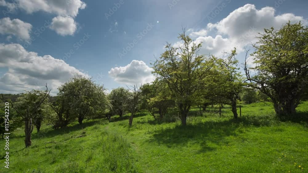 beautiful english countryside scenery