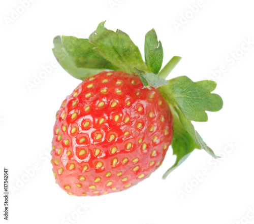 Strawberry over white backg...