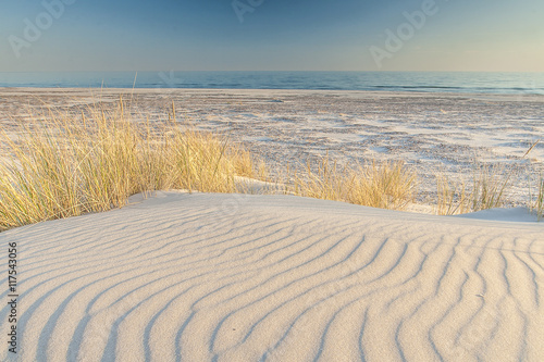 beautiful view of the coastal dunes