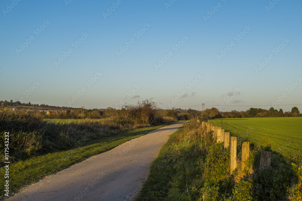 Obraz premium farmland track