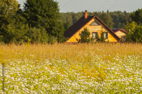 Summer landscape, sunny day, Meadow, country house
