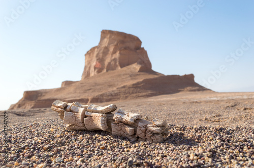 Yardangs of Kerman, Iran photo