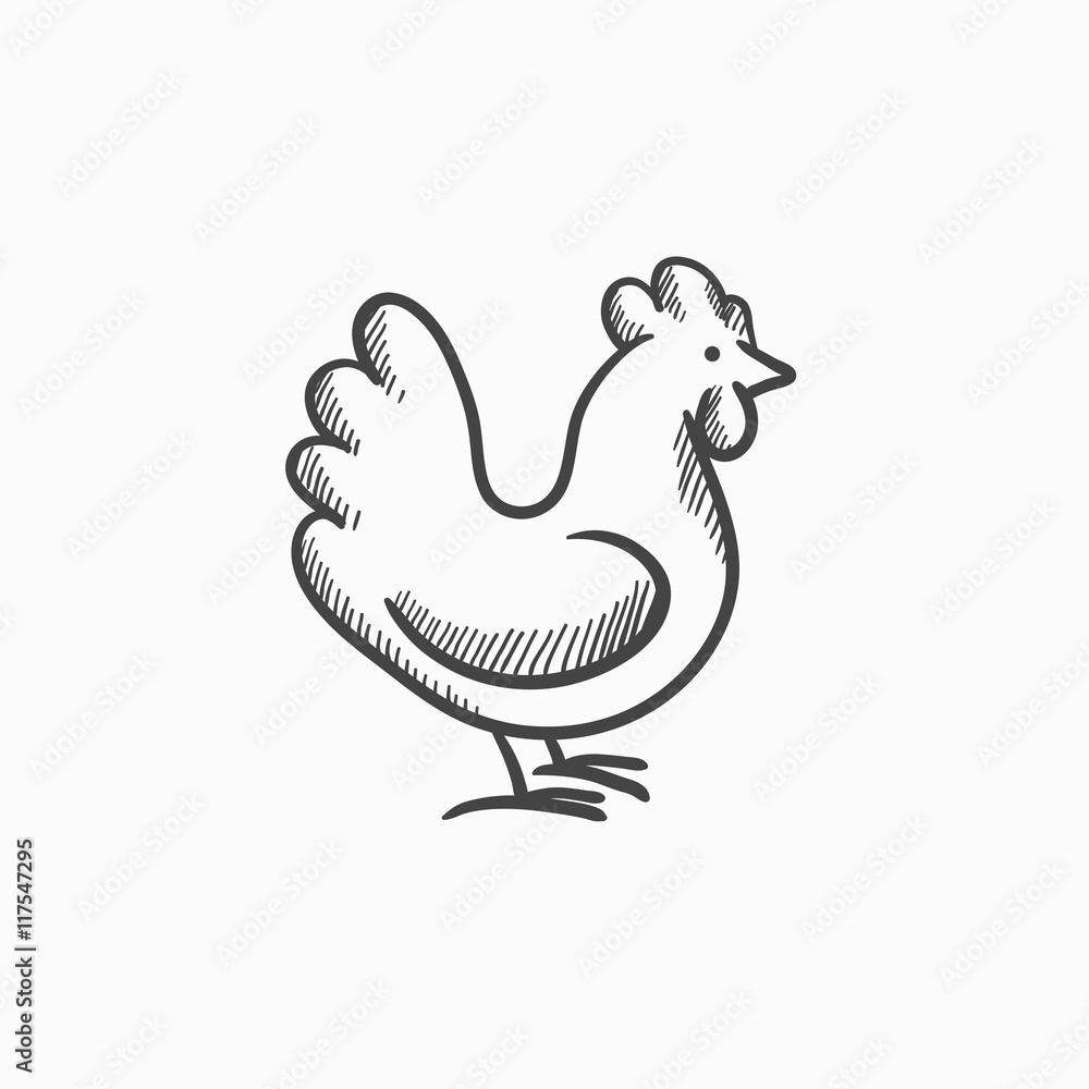 Premium Vector  Farm hen chicken vintage sketch hand drawn vector  illustration
