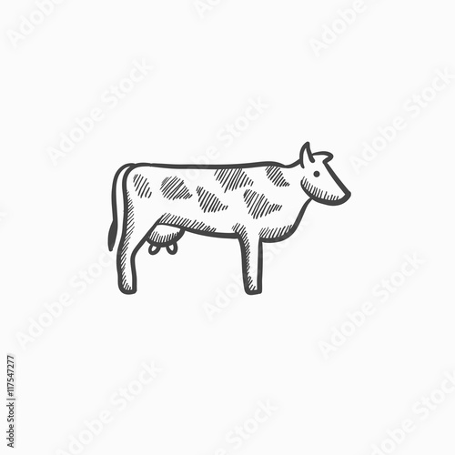 Cow sketch icon.