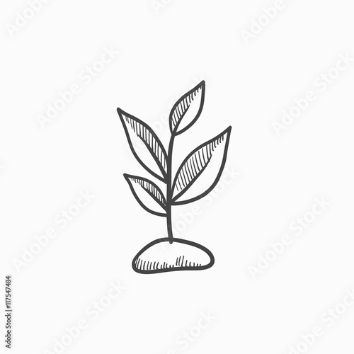 Sprout sketch icon.