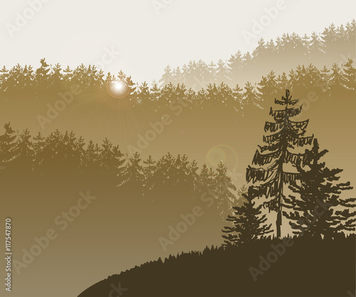 Forest trees BG